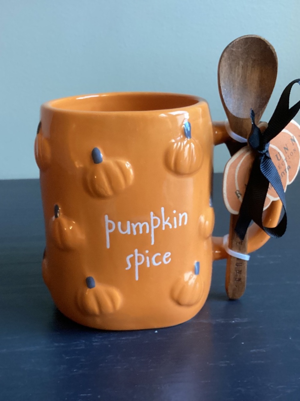NEW Rae Dunn Pumpkin Spice Orange Ceramic 16oz Mug ‘Pumpkin Spice’